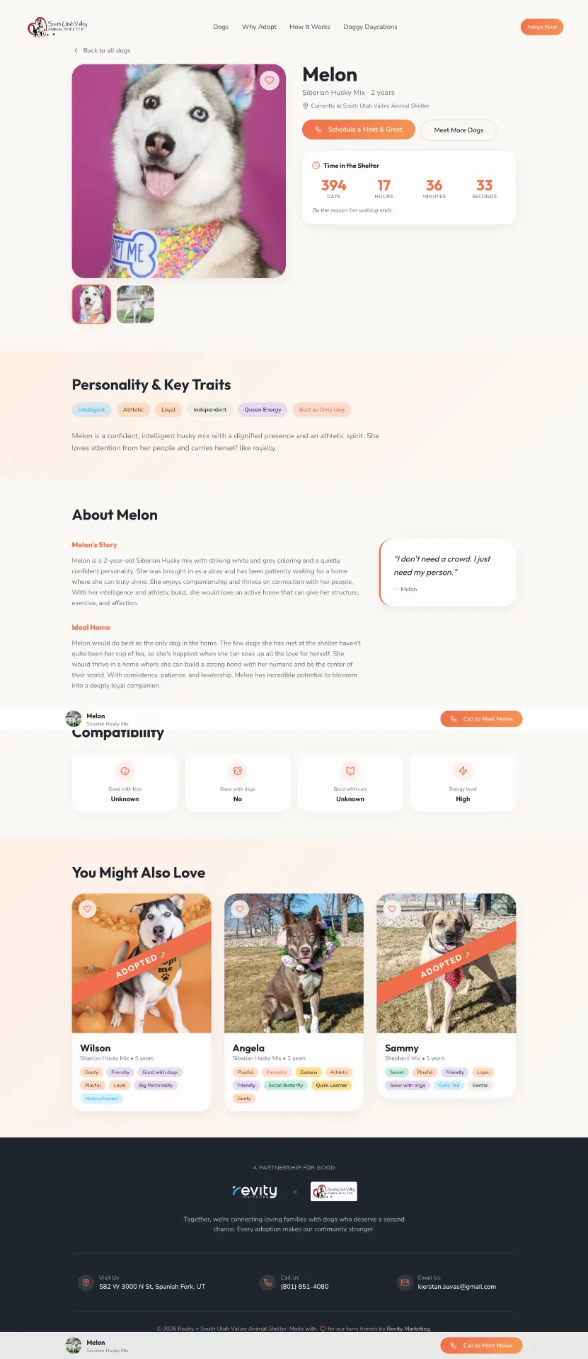 South Utah Valley Animal Shelter dog profile, after redesign
