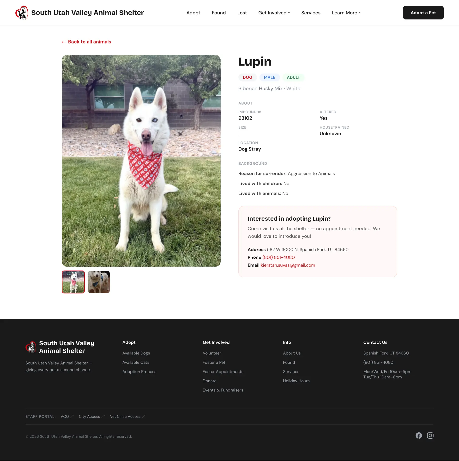South Utah Valley Animal Shelter dog profile, before redesign